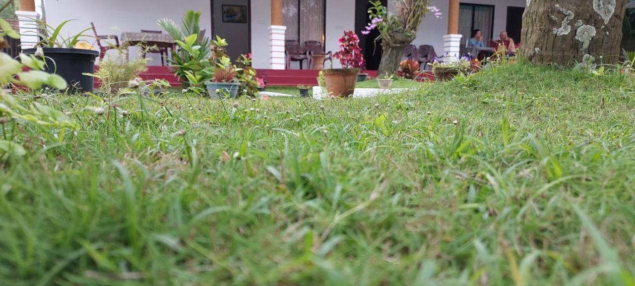 Marari Phoenix Beach Homestay Марарикулам Екстериор снимка
